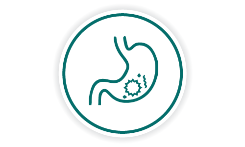 Services-Icons_Digestive_WMH Digestive
