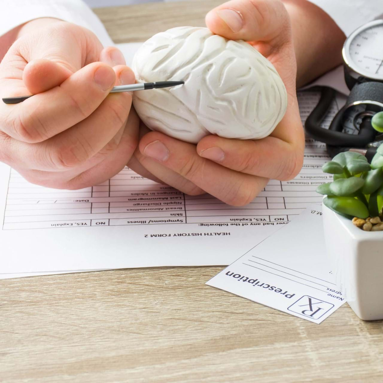 Doctor showing model of brain